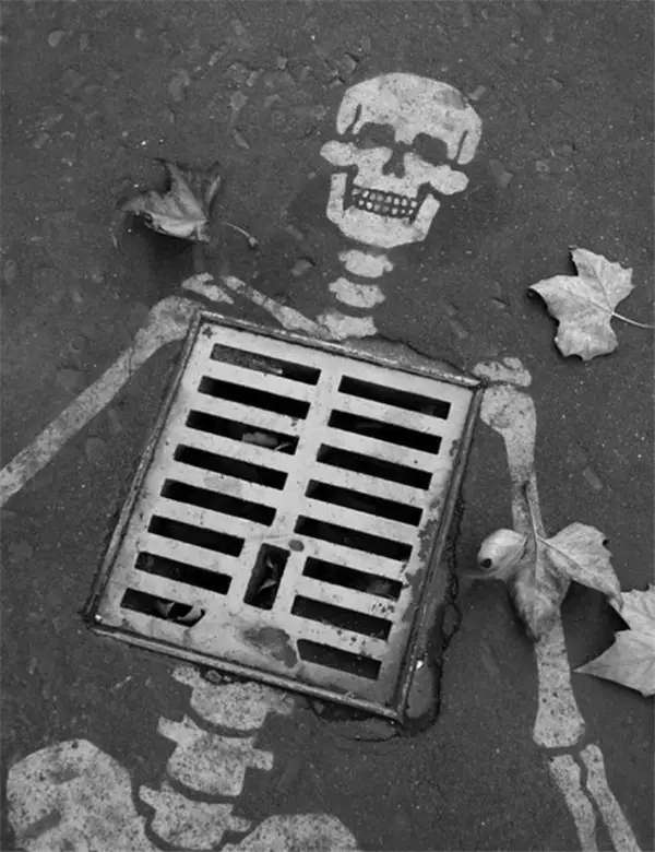 artist，Street Art，a literary creation，tree，